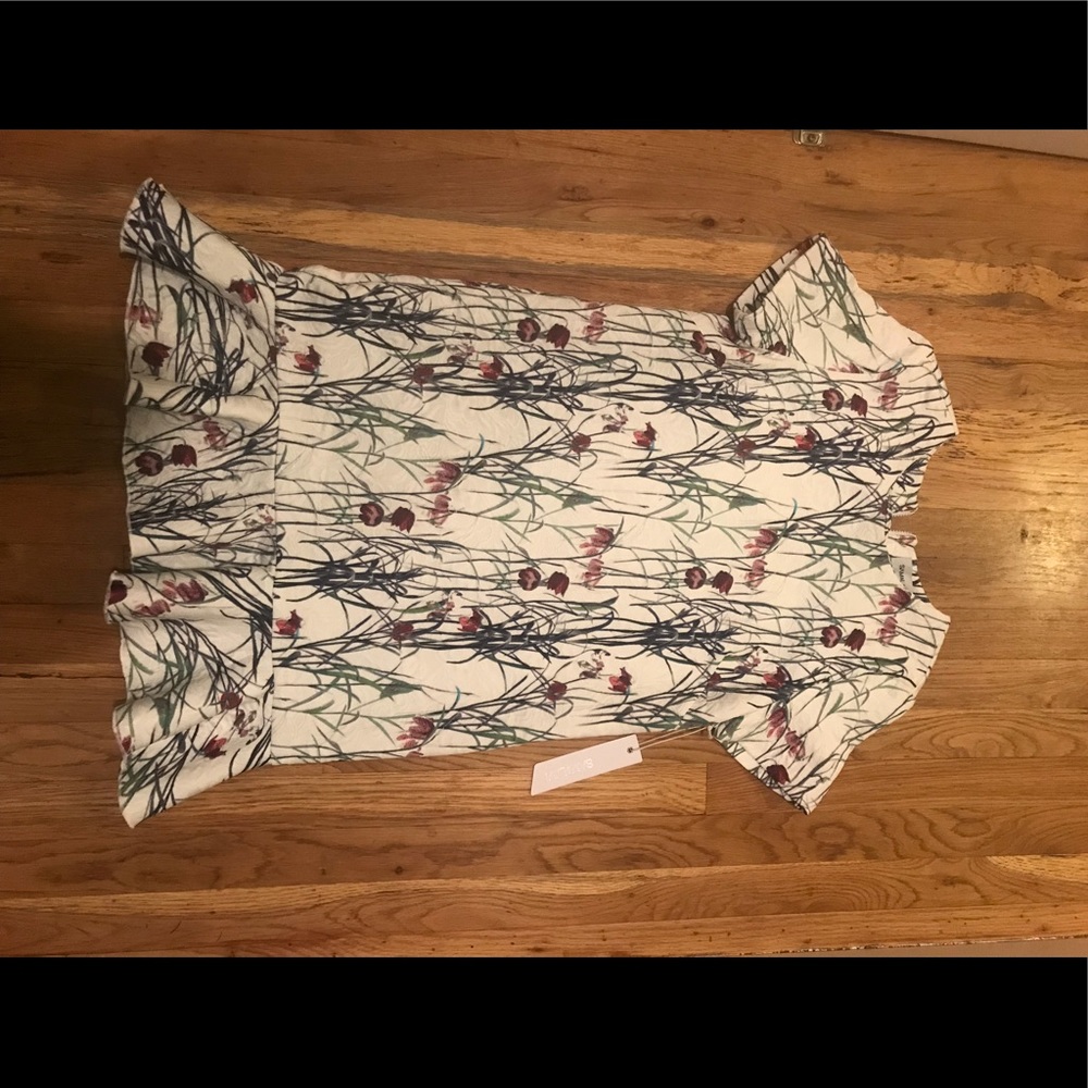 Sam and Lam Anthropologie dress